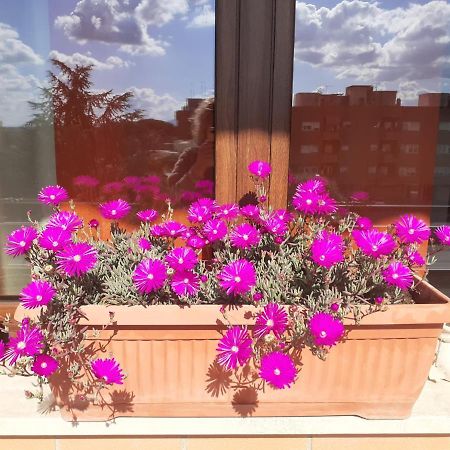 L'Orchidea Di Ale Bed & Breakfast Tivoli Terme Exterior photo
