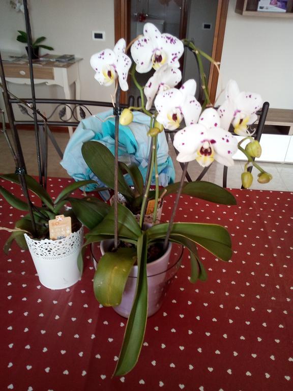 L'Orchidea Di Ale Bed & Breakfast Tivoli Terme Exterior photo